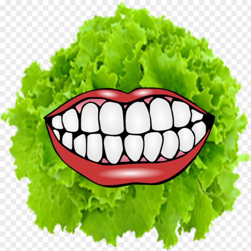 Lettuce Dentistry Chevrolet Human Tooth Mouth Ulcer PNG