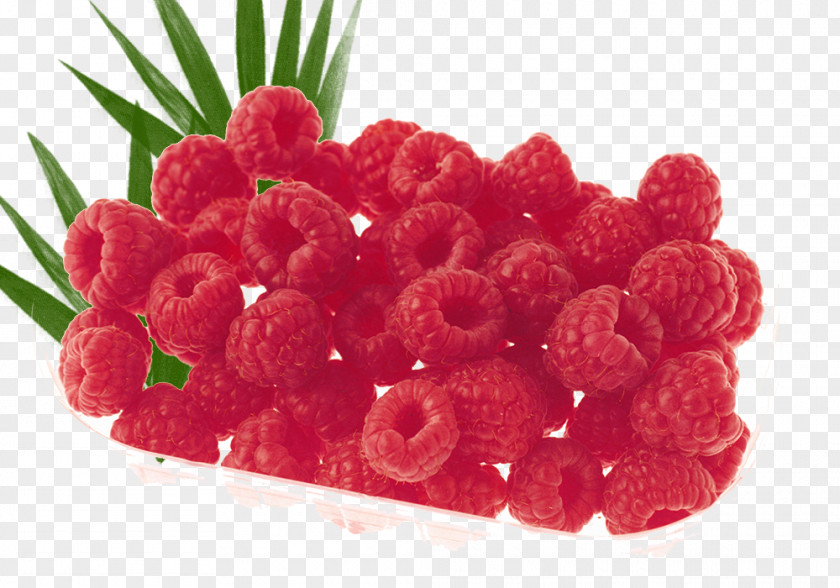 Mulberry Fruit Platter Christmas PNG