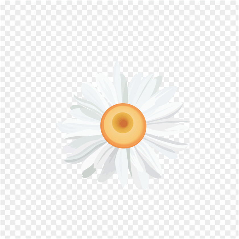 Chrysanthemum Yellow Circle Pattern PNG