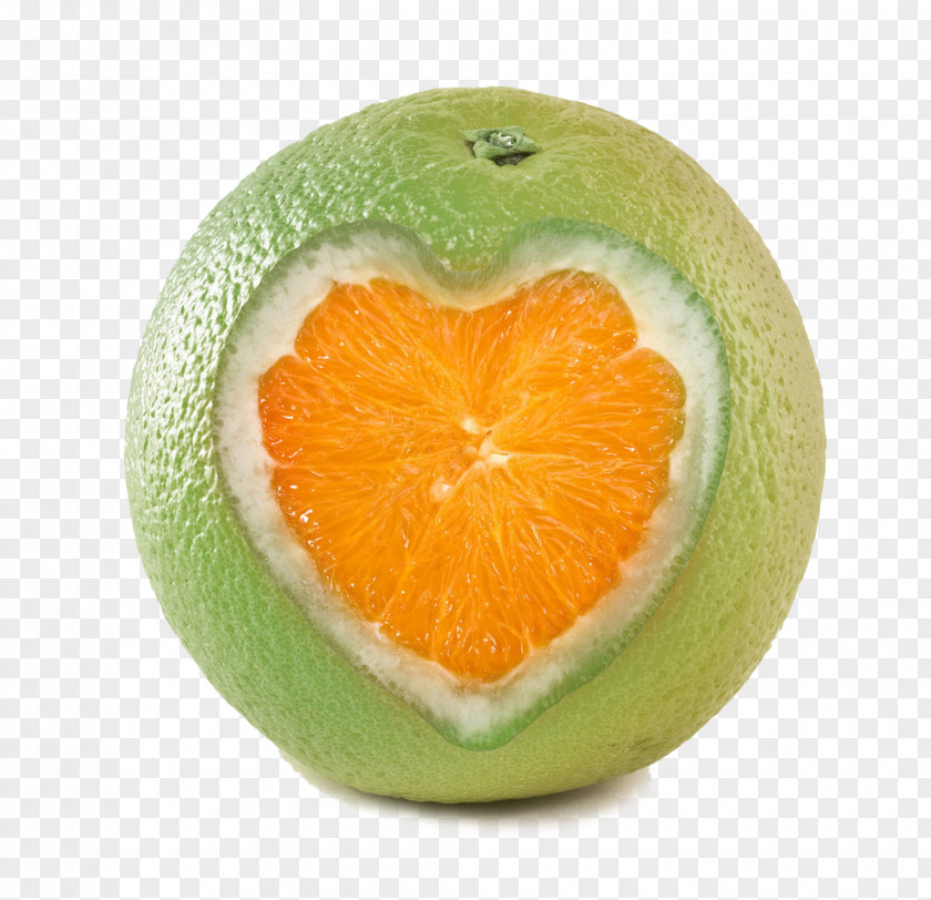 Love Grapefruit Orange Juice Lemon Mandarin Citrus Xd7 Sinensis PNG