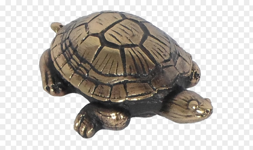 Mud Turtle Box Turtles Tortoise Snapping Metal PNG