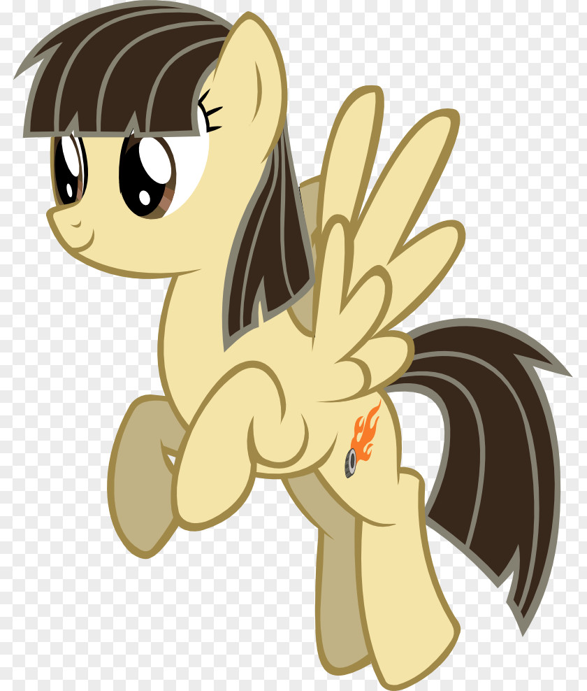 My Little Pony Rainbow Dash Twilight Sparkle Spike Rarity PNG