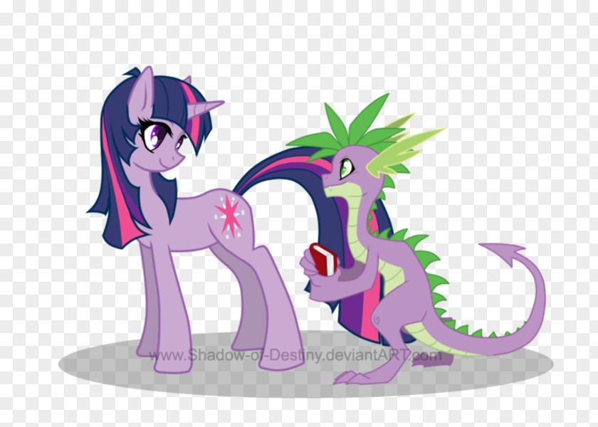 My Little Pony Spike Twilight Sparkle Rarity Sunset Shimmer PNG