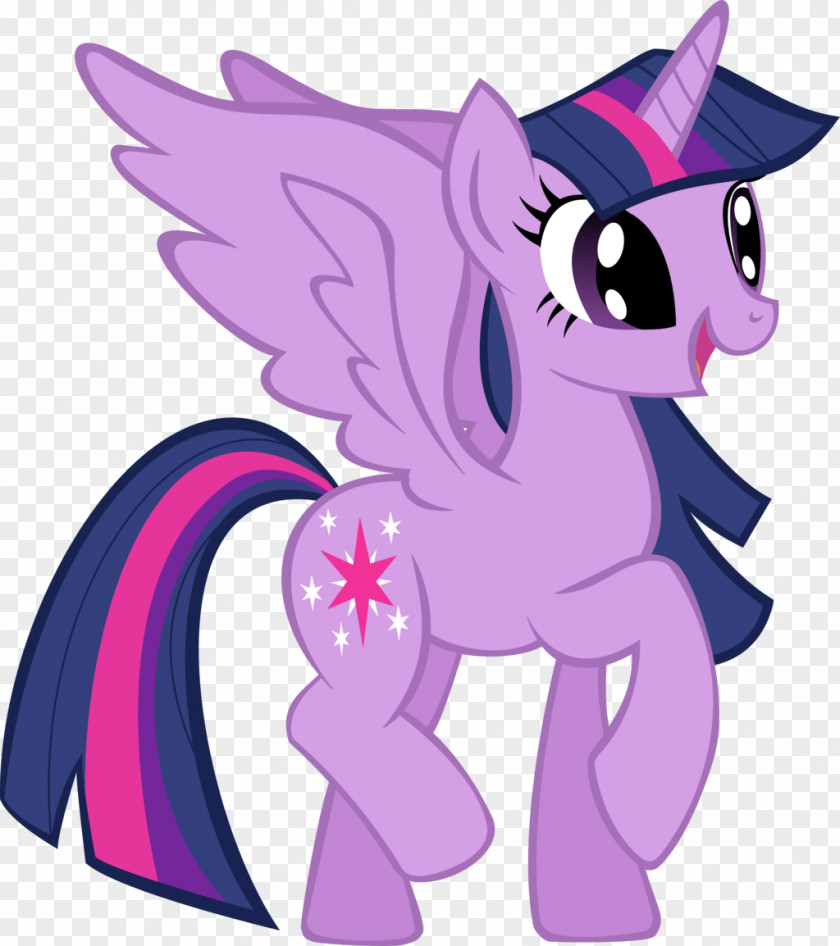 Twilight Sparkle Pony Rarity Winged Unicorn The Saga PNG