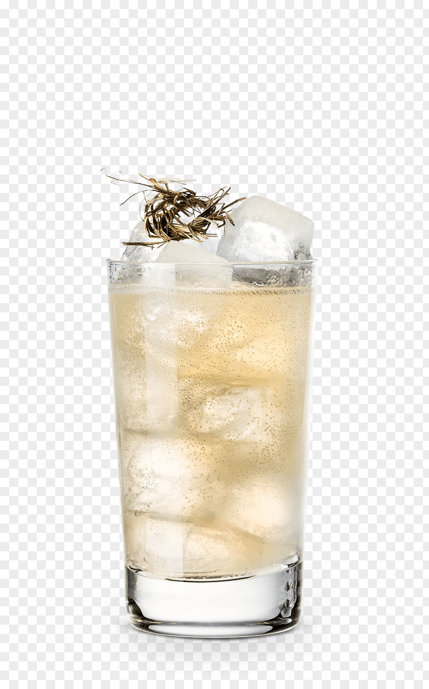 Cocktail Gin And Tonic Highball Black Russian Sea Breeze Garnish PNG