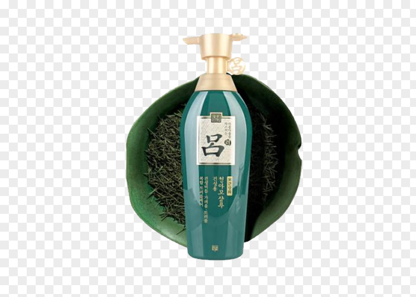LV Shampoo South Korea Hair Conditioner Capelli PNG