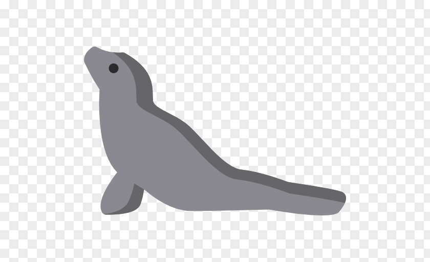 Sea Lions Lion Earless Seal Walrus Mammal PNG
