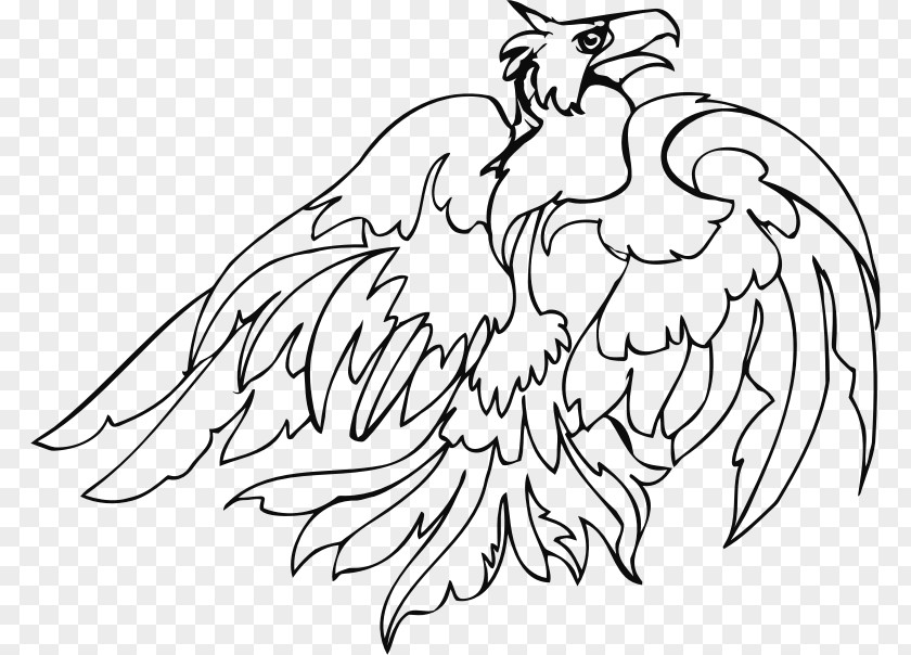 Bird Of Prey Chicken Line Art Clip PNG