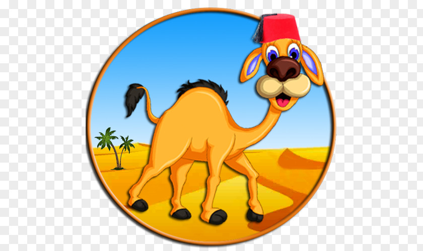 Camel Flyer Dromedary Bactrian TafraoutVoyage Sahara Llama PNG