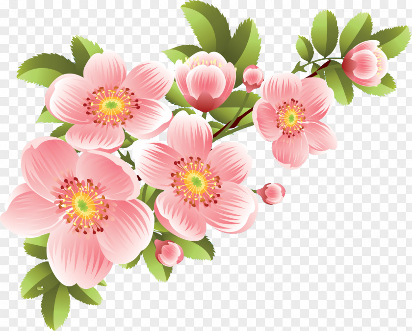 Flowers Flower Banner PNG