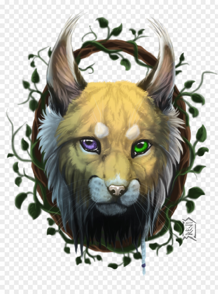 Lion Cat Whiskers Snout PNG