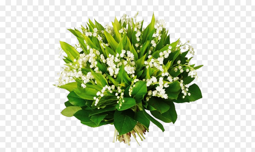 May 1 Lily Of The Valley International Workers' Day Blog PNG
