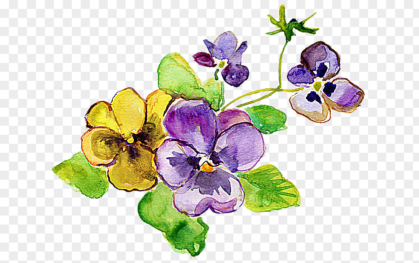 Watercolor Flowers Pansy Violet Flower Yellow Photography PNG