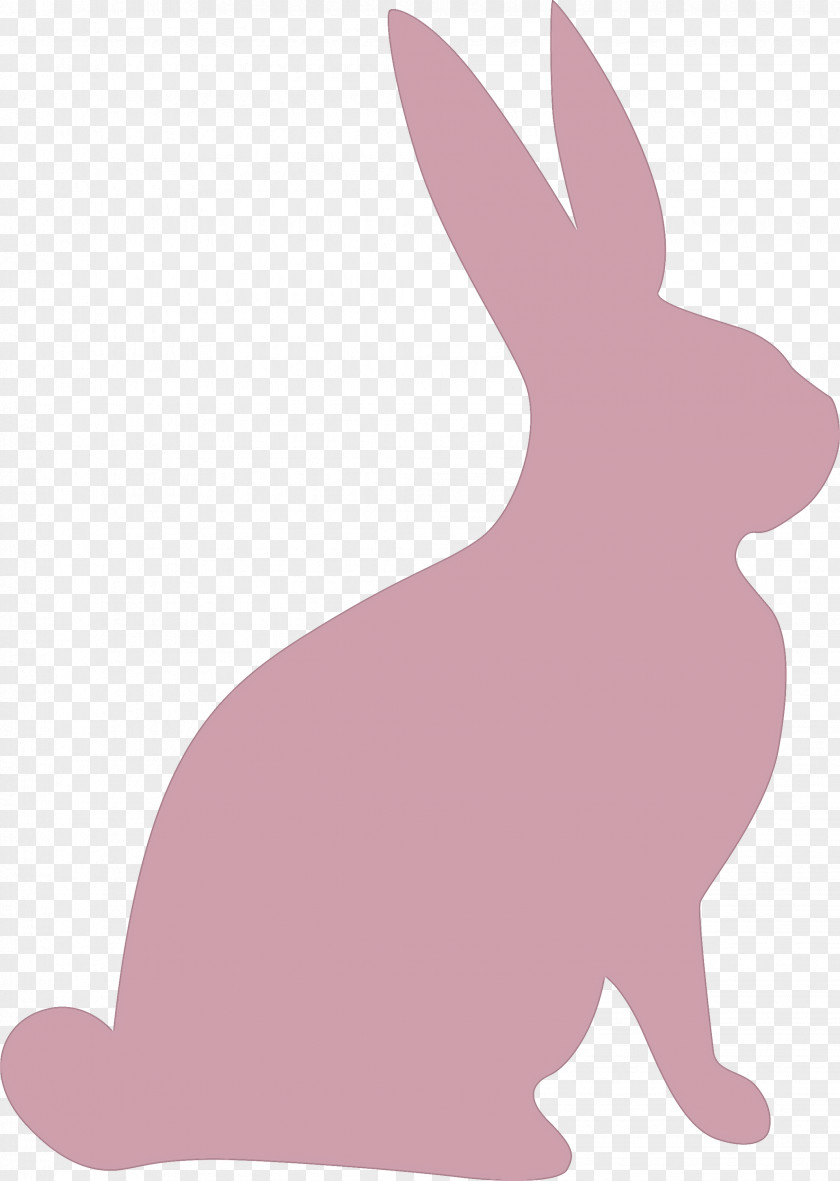 Easter Bunny Day Rabbit PNG