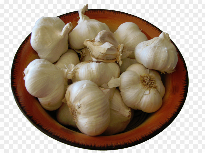 Health Benefits Of Garlic Vegetable Salsa Food Tourin PNG