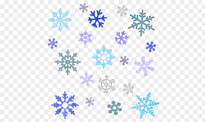 Snowflake Logo Graphic Design PNG