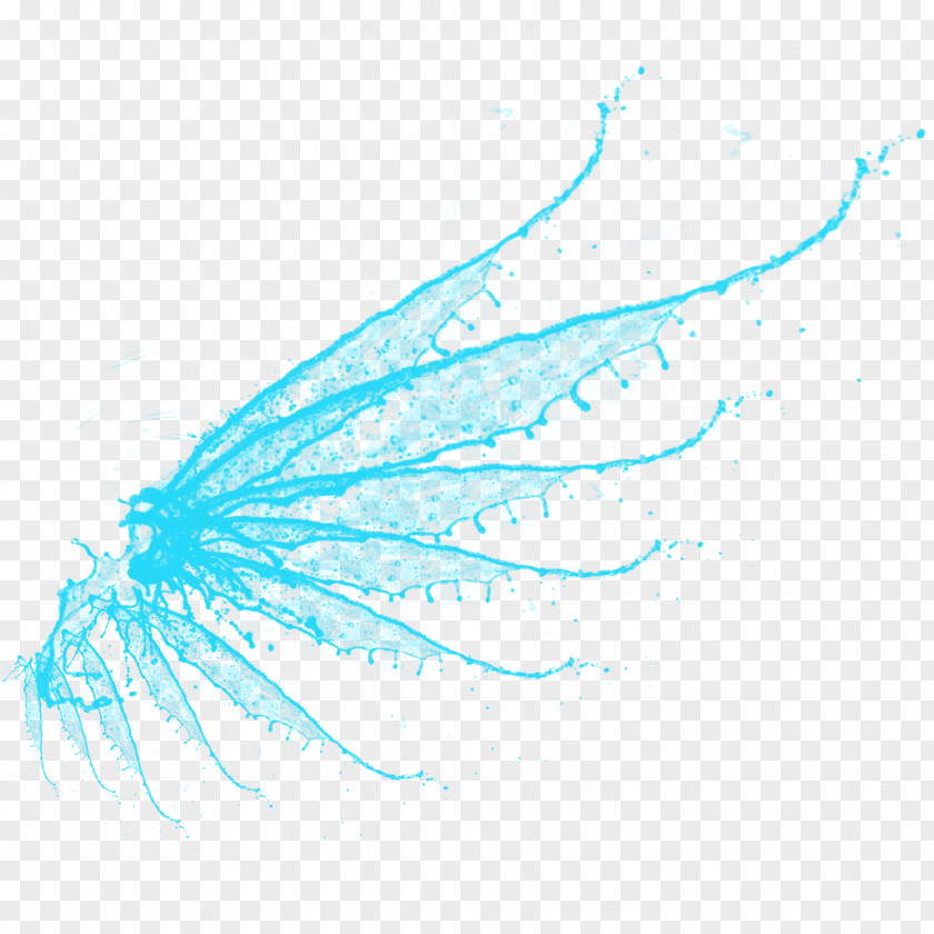 Spray Wings Wing Graphic Design Google Images PNG