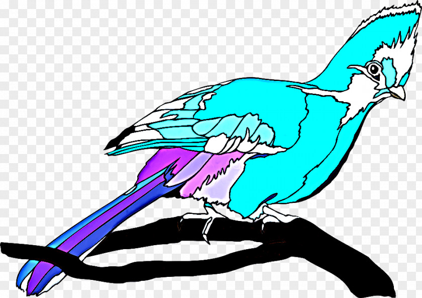 Wing Tail Clip Art Beak Bird Line PNG