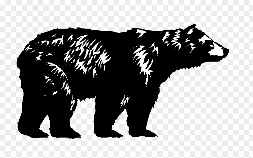 Bear American Black Giant Panda Deer Grizzly PNG