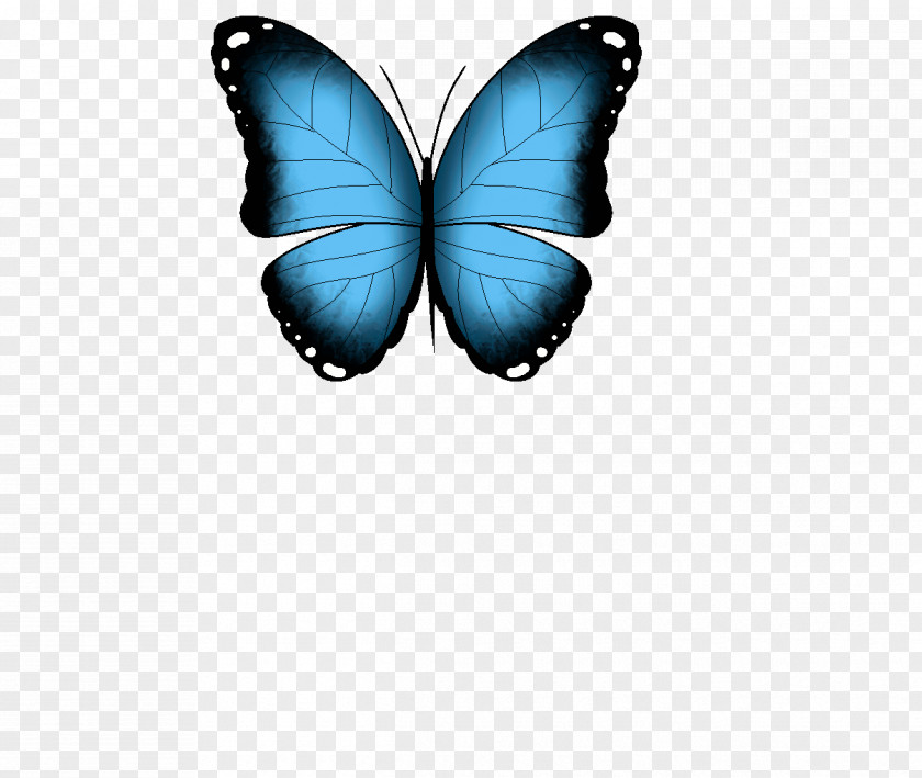 Butterfly Brush-footed Butterflies GIF Clip Art Menelaus Blue Morpho PNG