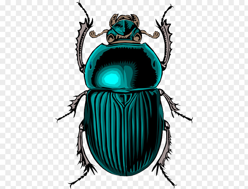 Ferny Is A Bug Scarab Dung Beetle Clip Art PNG