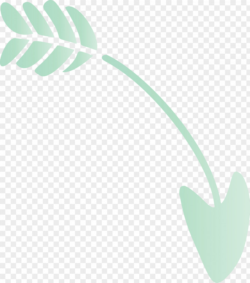 Leaf Line Plant PNG