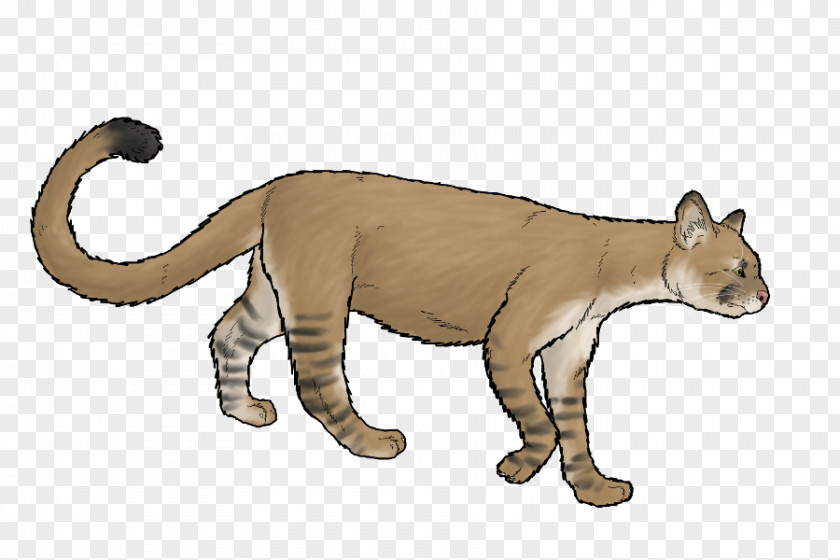 Mothman Cougar Felidae Cat Lion Animal PNG