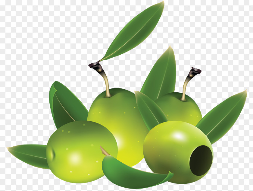 Ace Crim Olive Oil Clip Art PNG