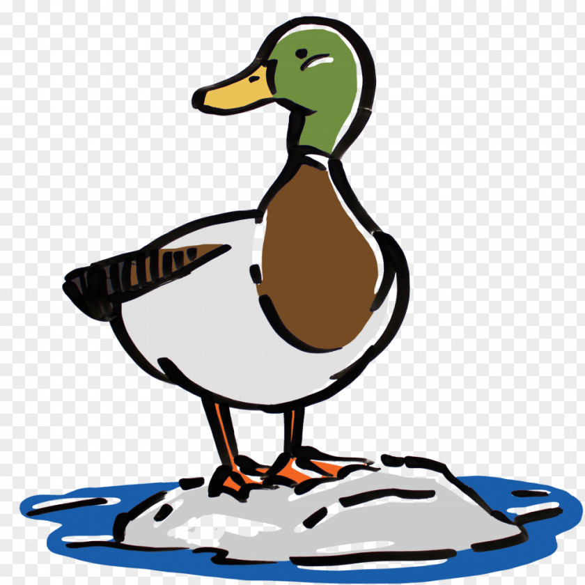 Duck Mallard Beak Clip Art PNG