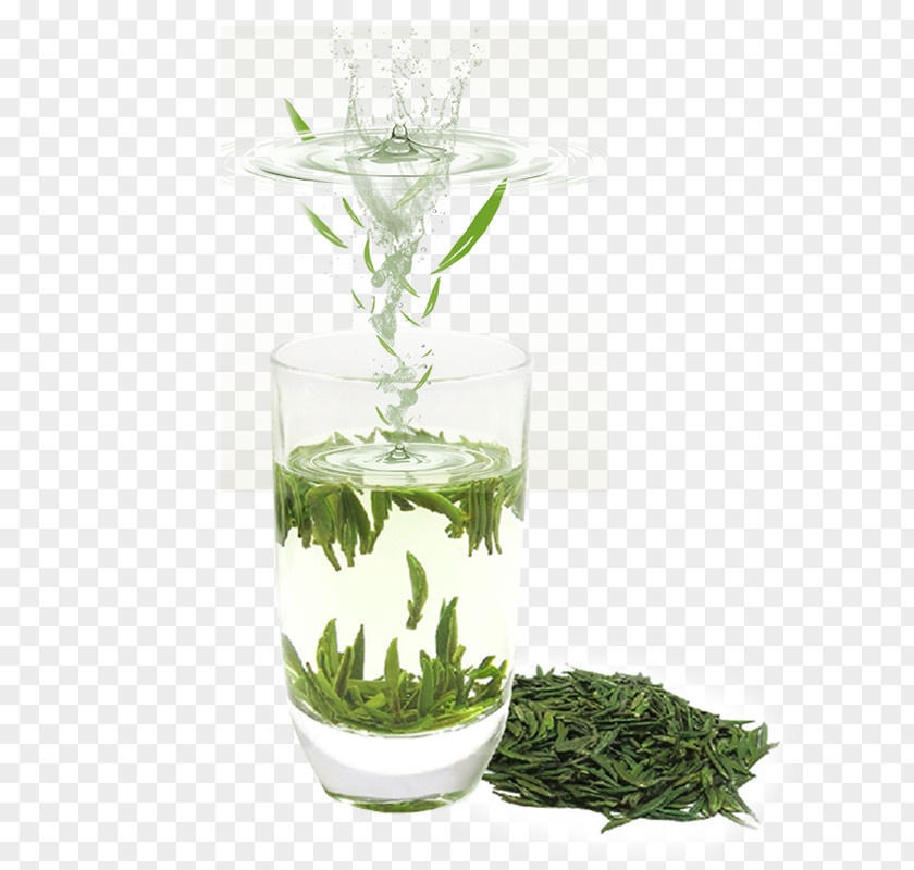 Free To Pull The Material Fresh Green Tea Leaves Advertising PNG