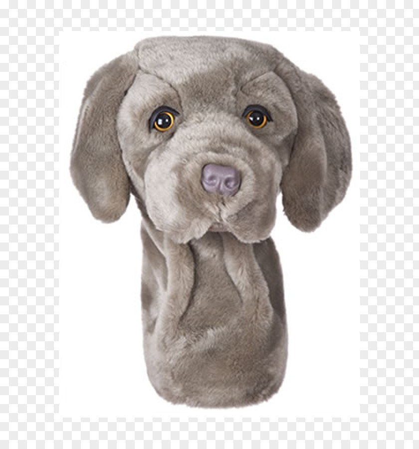 Golf Weimaraner Australian Shepherd Goldendoodle Clubs PNG