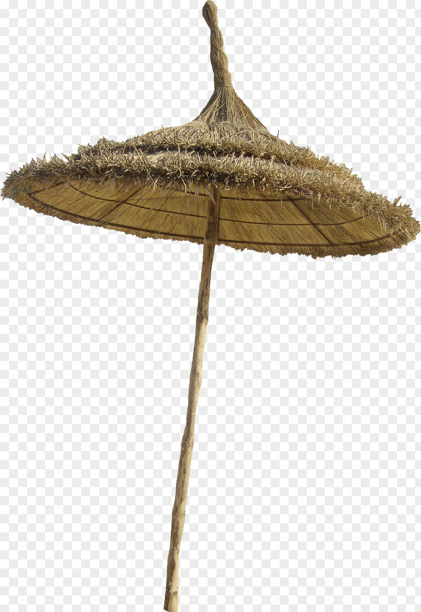Grass Beach Umbrellas Umbrella PNG