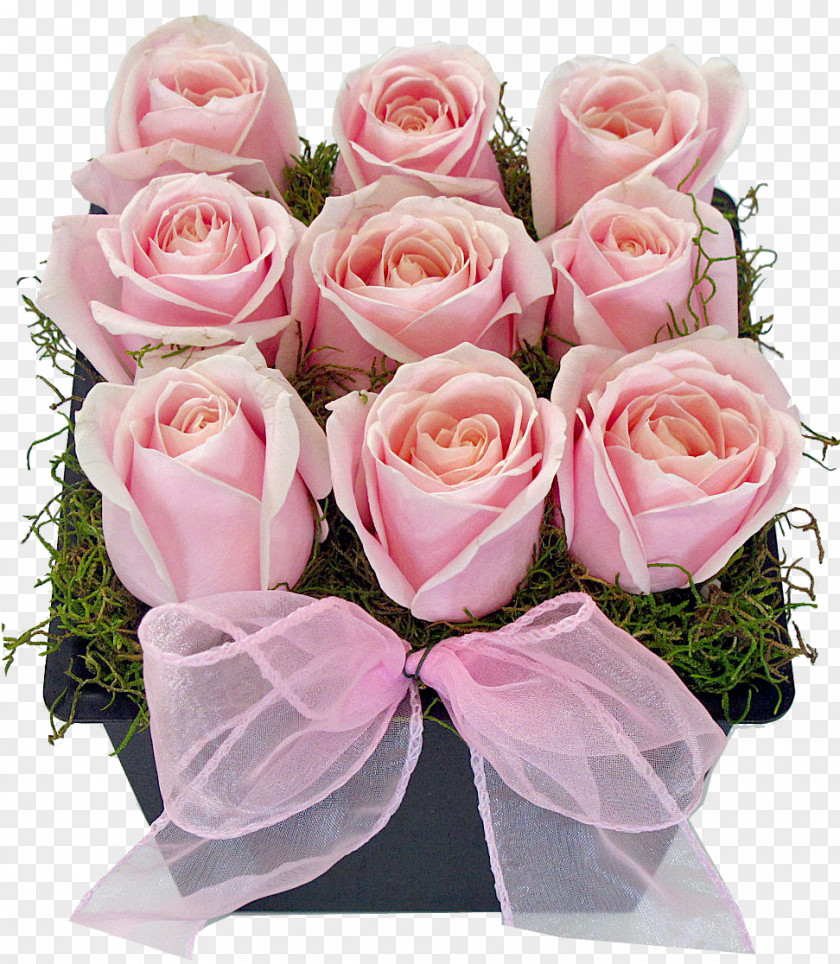 Gypsophila Cut Flowers Floristry Floral Design Garden Roses PNG