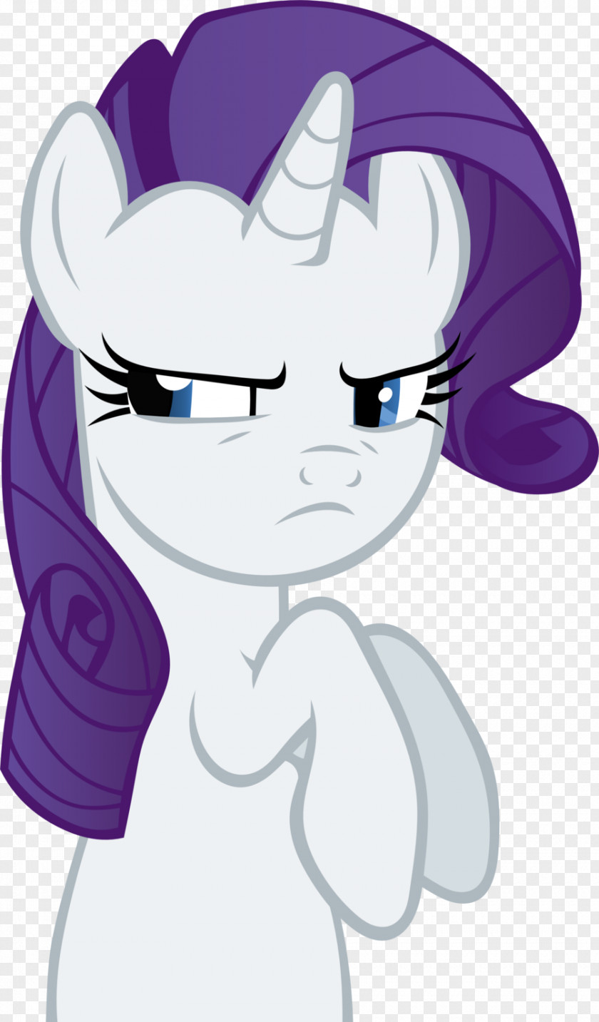 Horse Pony Rarity Derpy Hooves Pinkie Pie PNG