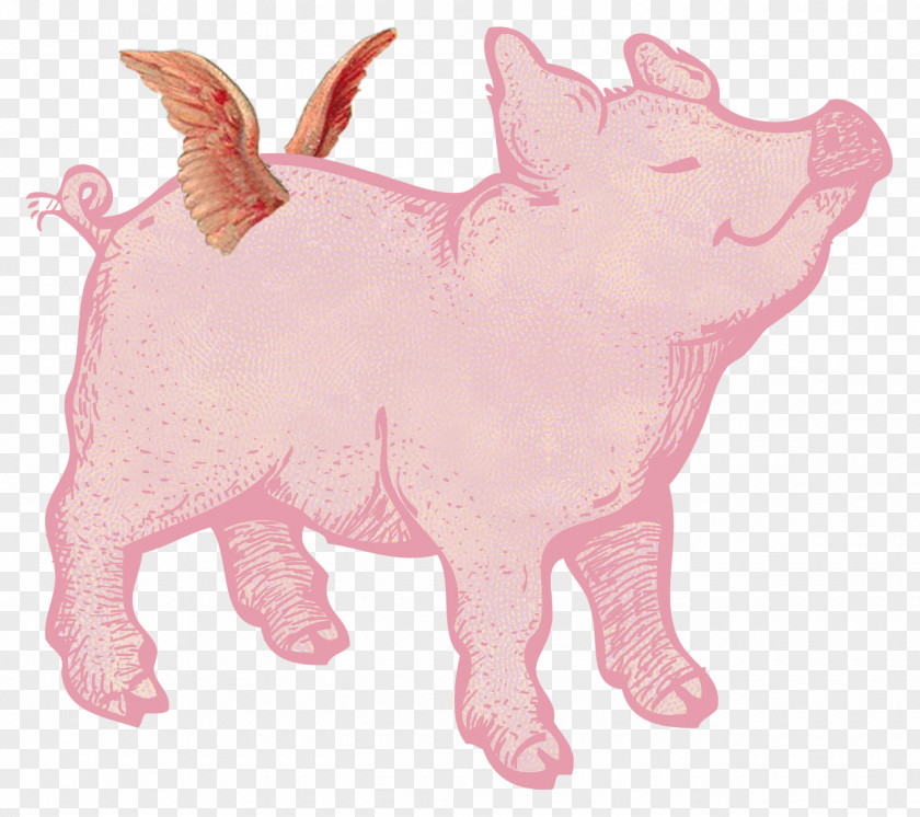 Pig Domestic Christmas When Pigs Fly Clip Art PNG