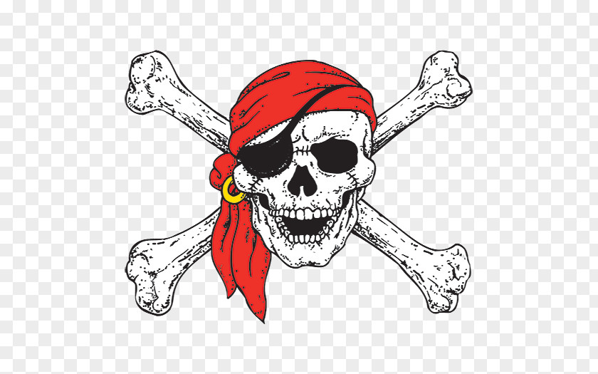 Pirate Jolly Roger Skull And Crossbones Human Symbolism PNG