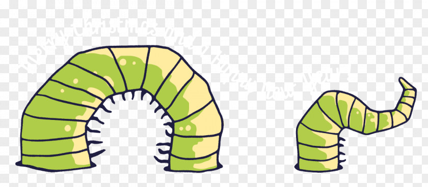 Product Design Invertebrate Clip Art Line PNG