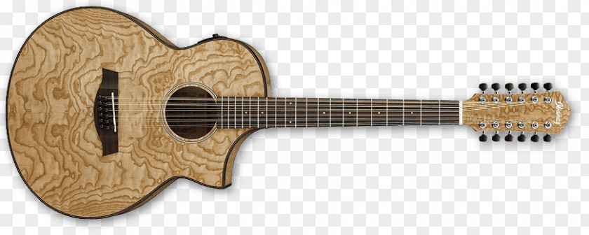 Acoustic Guitar Ibanez RG Exotic Wood Series AEW40 Acoustic-electric PNG