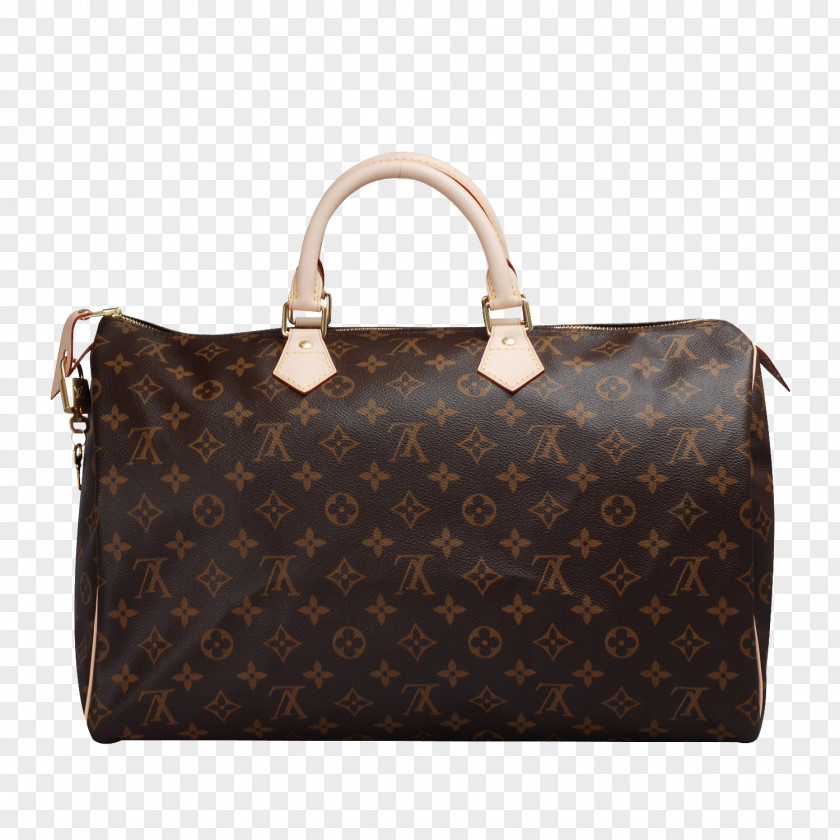 LV Louis Vuitton Handbag Shoulder Bag Tote PNG