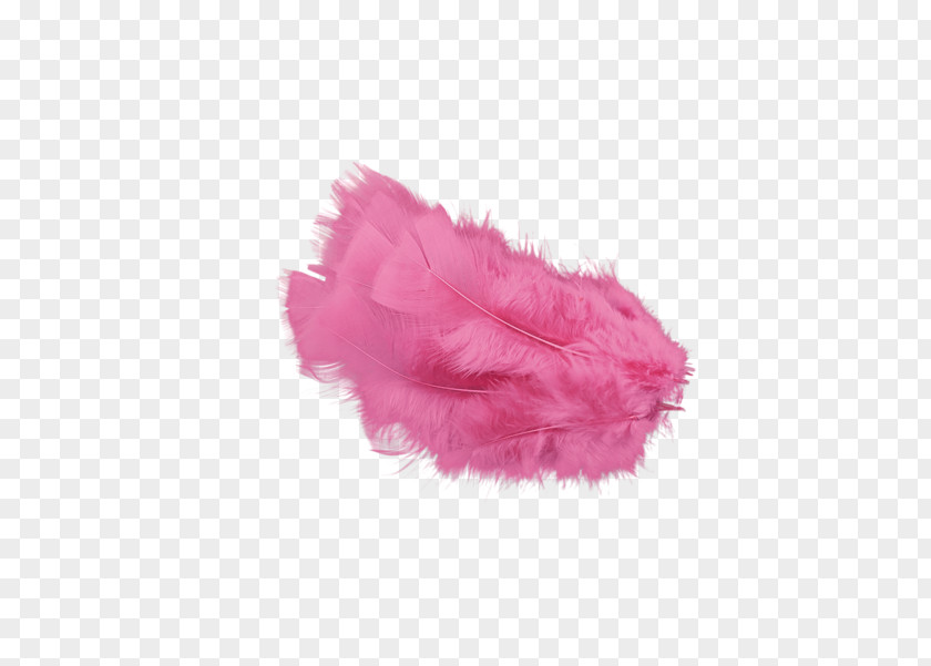 Red Feather Pink Clip Art PNG