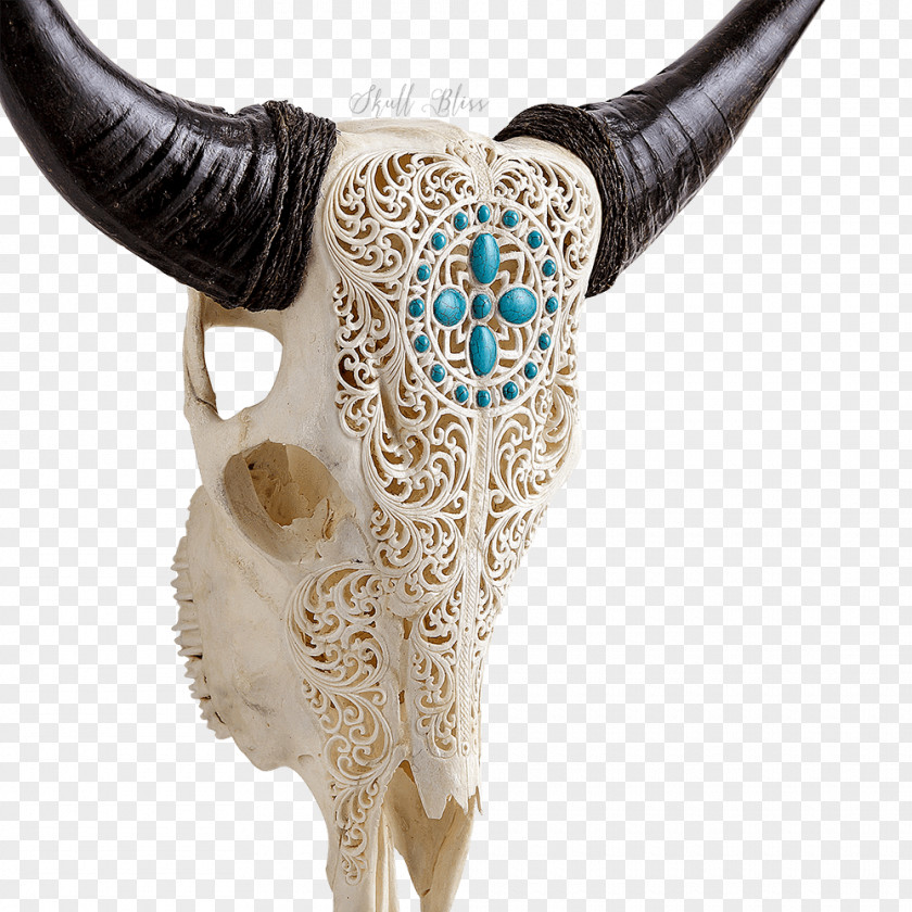 Skull XL Horns Cattle Neck PNG