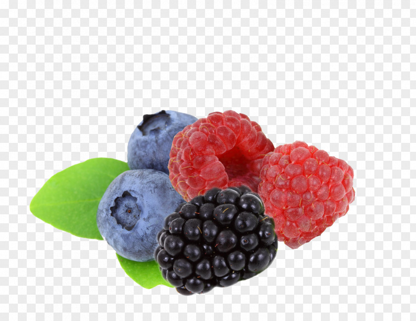 Blueberry Raspberry Blackberry Fruit Clip Art PNG