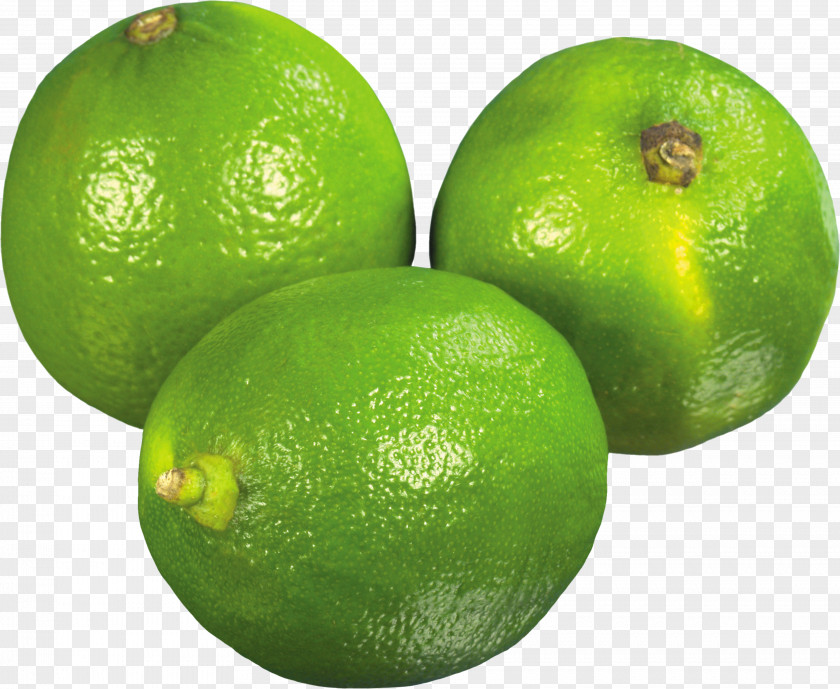 Lime Persian Key Sweet Lemon Citron PNG