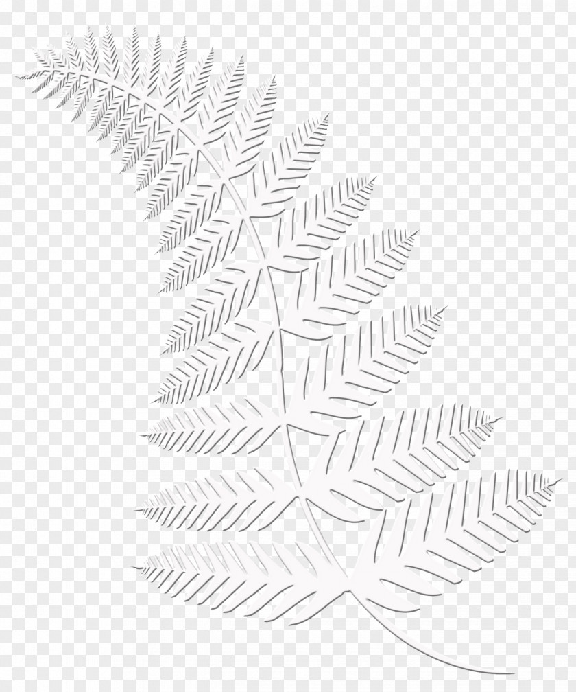 Line Symmetry Pattern Angle Leaf PNG