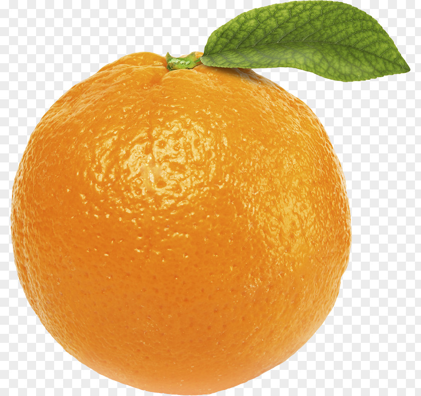 Orange Image, Free Download Juice Bitter Fruit Crisp PNG