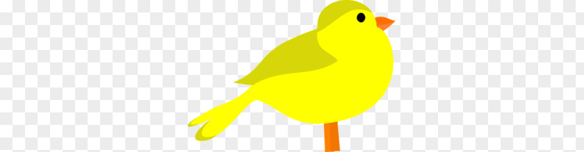 Yellow Cliparts Beak Water Bird Text Illustration PNG