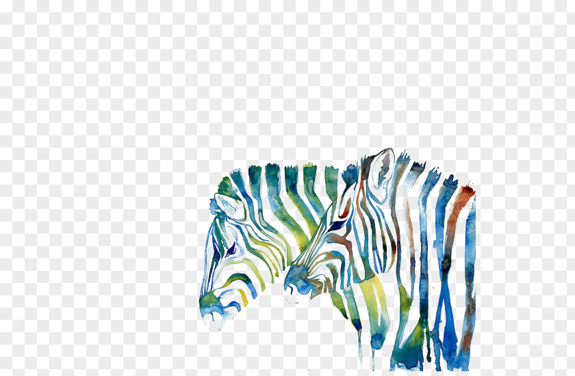 Zebra Graphics Tablet Computer Monitor Liquid-crystal Display Device Drawing PNG