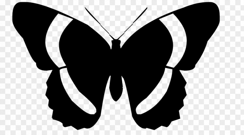 Butterfly Silhouette Cliparts Clip Art PNG