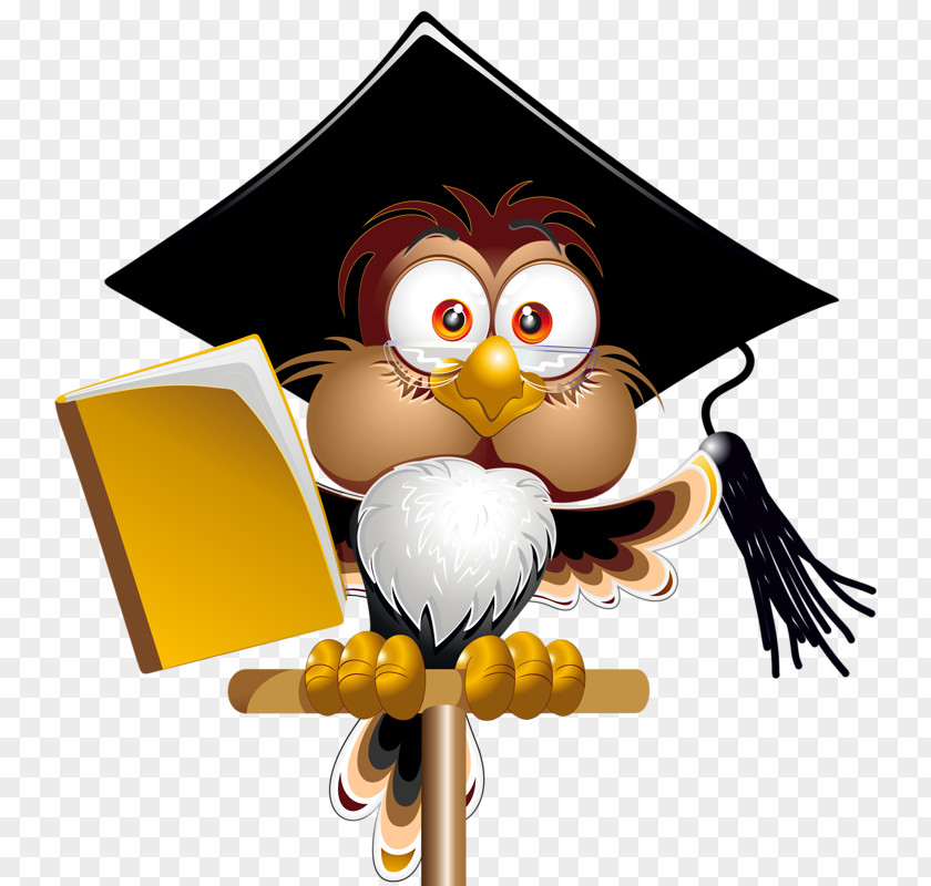 Dr. Owl Student Cartoon Teacher Online Writing Lab PNG
