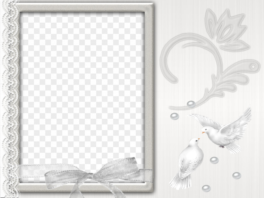 Silver Main Colors Animal Decorative Borders Picture Frame Color PNG